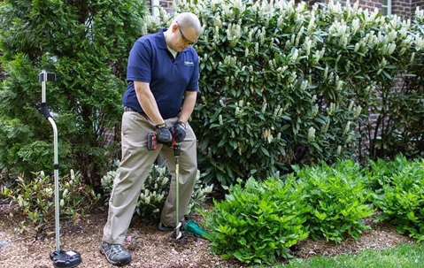 Local exterminator